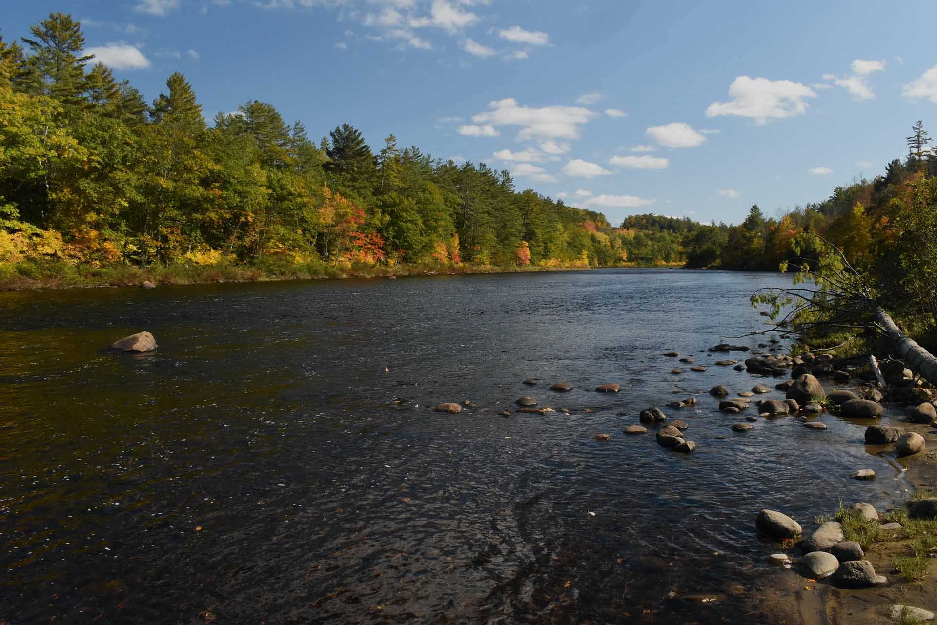 Upstate Aura